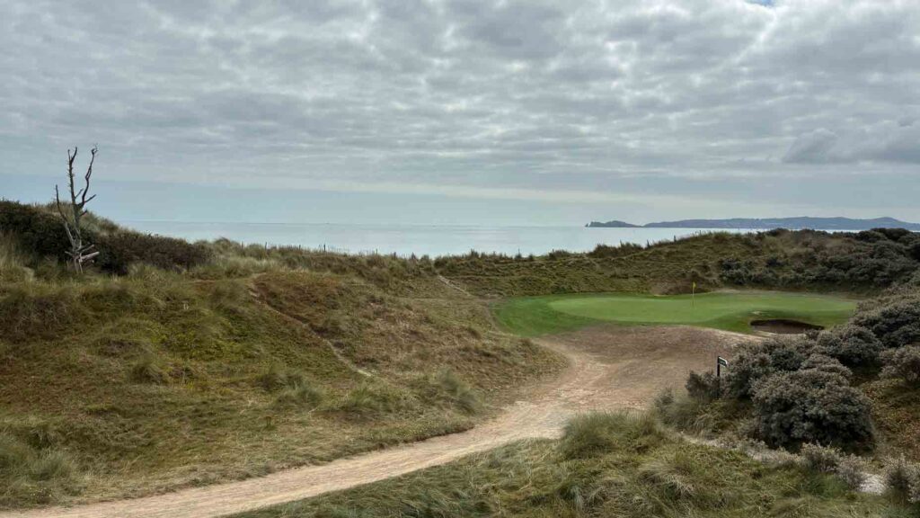 As I was leaving Ireland, my course choice was applauded. Here's why
