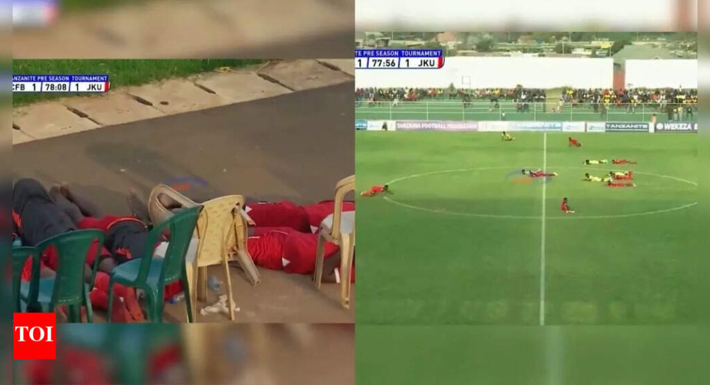 Bees attack! Football match stopped due to unexpected visitor in Africa - Watch | Football News