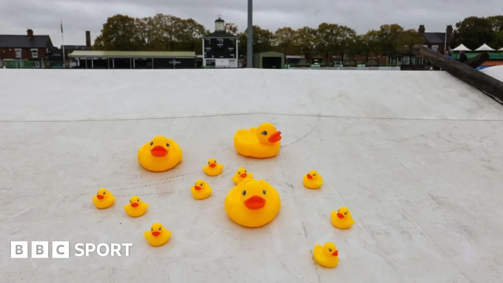 A number of plastic yellow ducks sitting on top of the covers at a wet Uptonsteel County Ground in Leicester