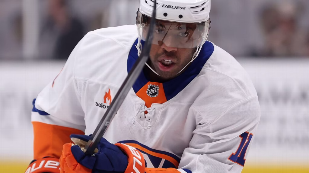 Islanders' Duclair - Roy apologized for 'god-awful' comment